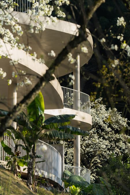 Buzzy Sunny· Feixue Pavilion